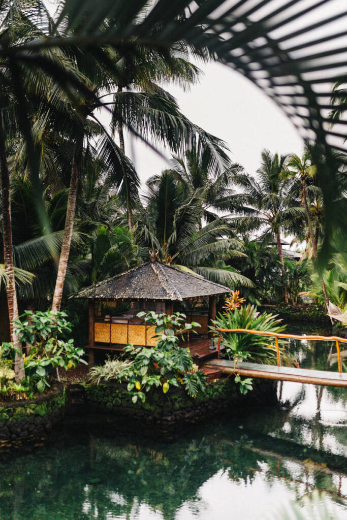 LimeWire Announces Comeback as Web3 NFT Marketplace LimeWire Announces Comeback as Web3 NFT Marketplace